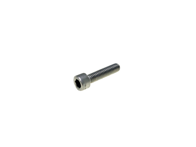 Allen bolt M6x30 stainless steel main