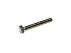 Hexagon screw M8x55 stainless steel