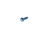 Hexagon screw M6x10 galvanized thumb extra