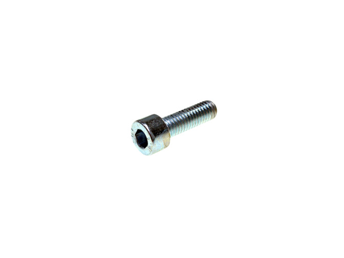 Inbus bout M8x25mm gegalvaniseerd product