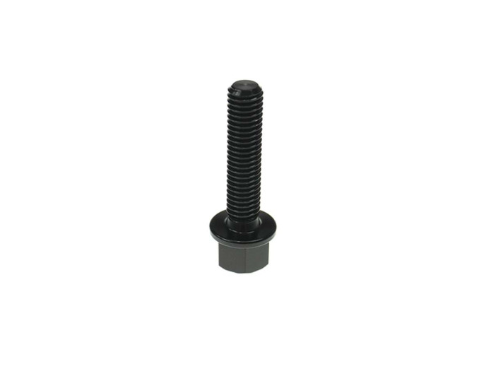 Zeskantbout M8x1.25 35mm aluminium met borggat Tecnium