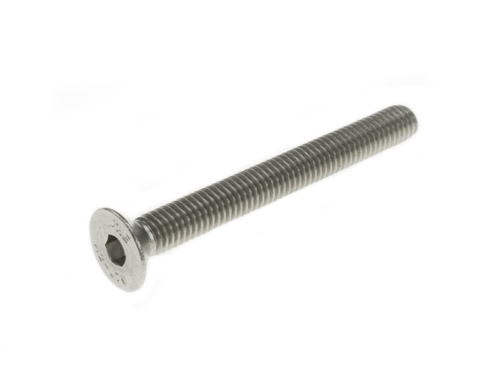 Inbusbout M6x55 RVS verzonken 