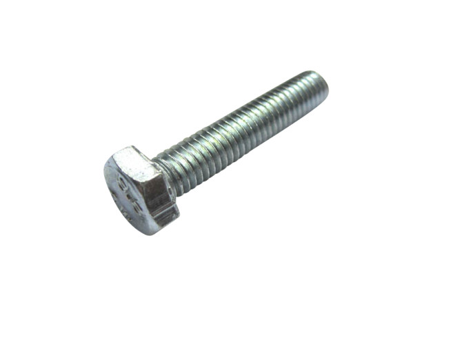 Hexagon bolt M6x30 galvanized main