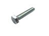 Hexagon bolt M6x30 galvanized thumb extra