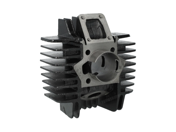 Cilinderkit Polini Gietijzer Sport 50cc 40mm voor Peugeot verticaal