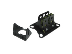 Membraan 74cc Gilardoni / Italkit Malossi VL6 carbon 