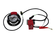 Ignition inner rotor Selettra NO2019 (FiA) Tomos A3 / A35 / universal