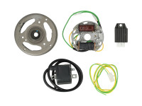Zündung Modell Bosch Linksumdrehend 12 Volt 43W Elektronisch CDI mit Polrad und Spannungsregler NTS