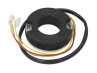 YouTube Ontsteking binnenrotor MVT Premium Analoog met licht 12V 55W stator