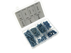 Screw assortment 175-pieces