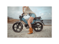 Poster Tomos "Cowgirl Beach" A1 (59,4x84cm)