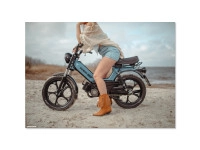 Poster Tomos "Cowgirl Beach" A1 (59,4x84cm)