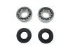 Bearing and seal kit crankshaft Tomos A3 / A35 / A55 6203 C3 thumb extra