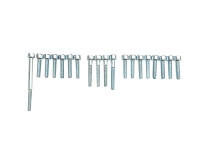 Engine bolt set Tomos A35 / A52 / A55 complete