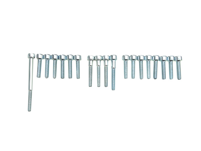 Engine bolt set Tomos A35 / A52 / A55 complete product