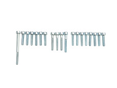 Motor boutenset Tomos A35 / A52 / A55 carter compleet