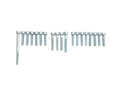 Motor Schraubensatz Für Tomos A35 / A52 / A55 Gehause Komplett