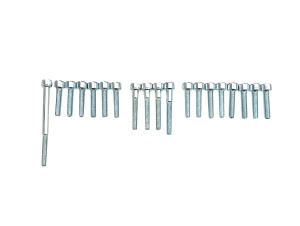 Motor Schraubensatz Für Tomos A35 / A52 / A55 Gehause Komplett