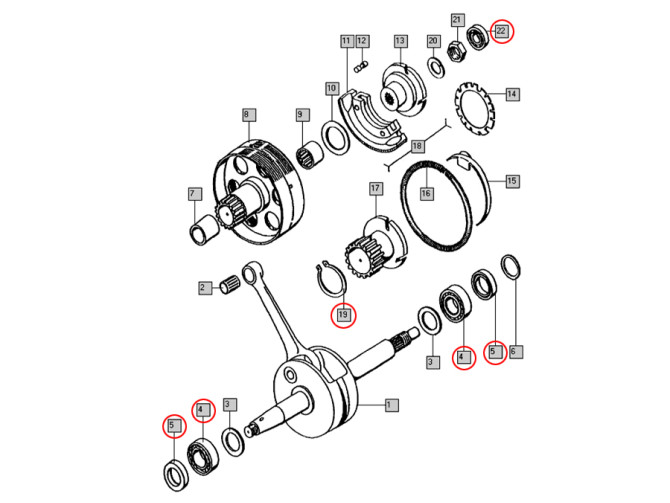 Lager en keerring revisieset Tomos A35 / A52 / A55 klein product