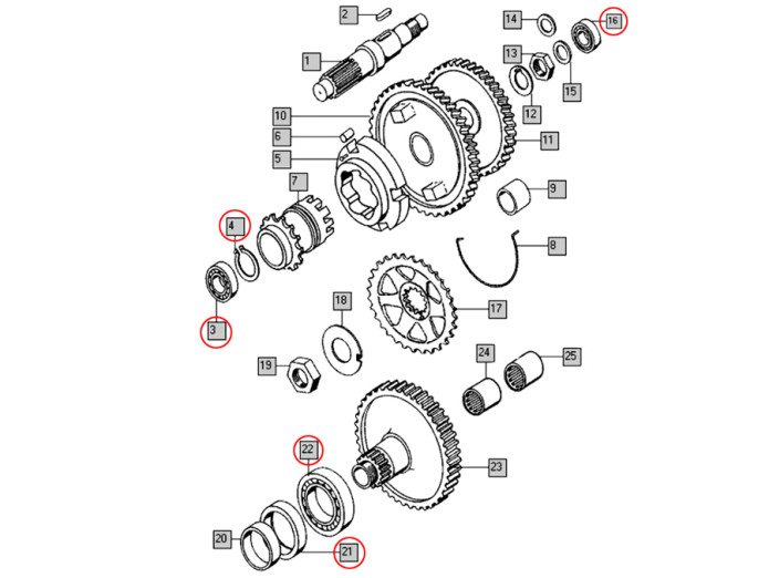 Lager und Simmerring Revision für Tomos A35 A52 A55 Klein
