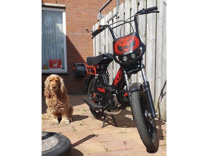 Koplampkap spoiler streetfight kap zwart 12V product