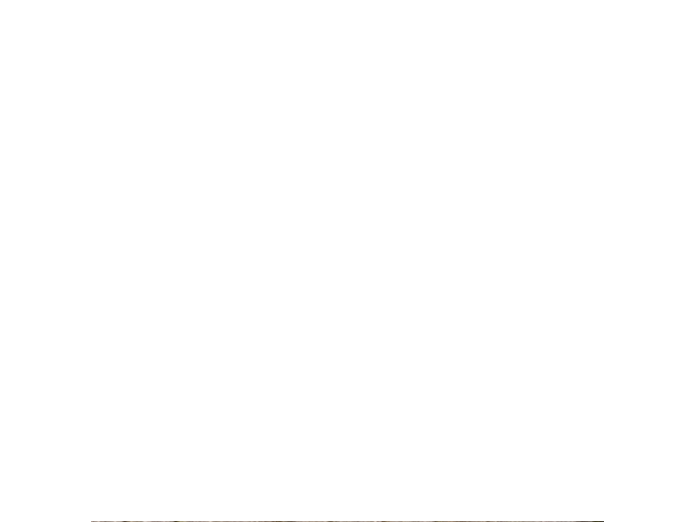 Sticker Tomos disco 2 speed Automatic set universeel