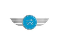Sticker Tomos logo "Wings" chrome foil 90x35mm