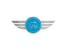 Sticker Tomos logo "Wings" chrome foil 90x35mm thumb extra