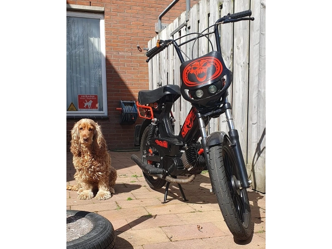 Koplampkap spoiler streetfight kap zwart 12V product